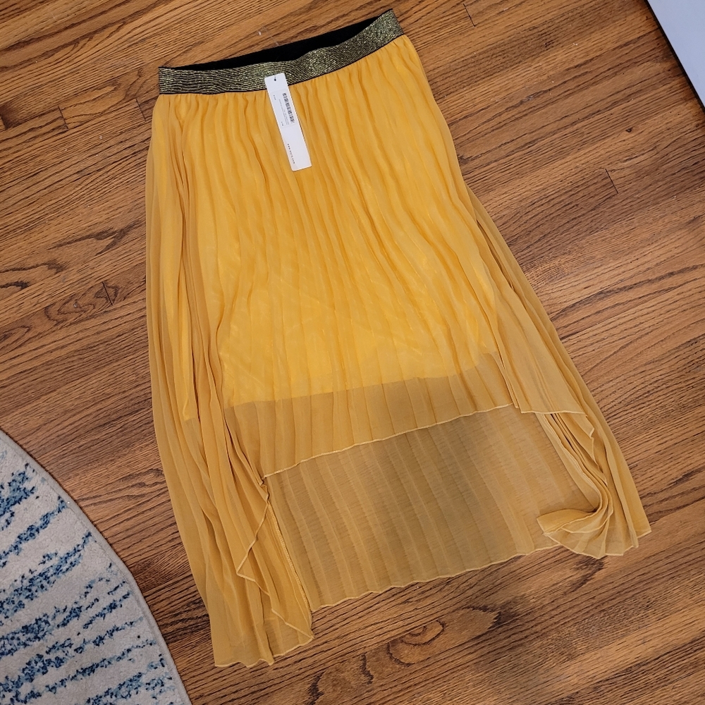 NWT Aryn K Asymmetrical Pleated Skirt